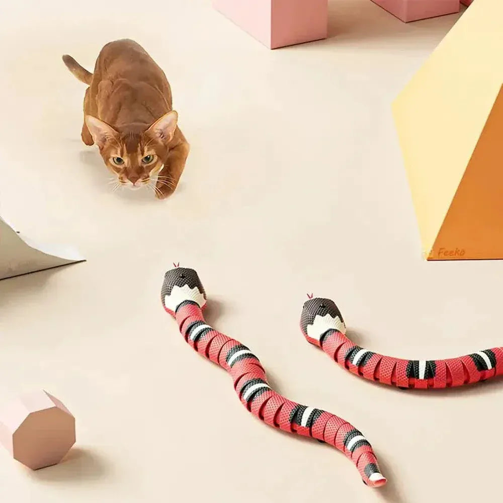 Cat snake toy