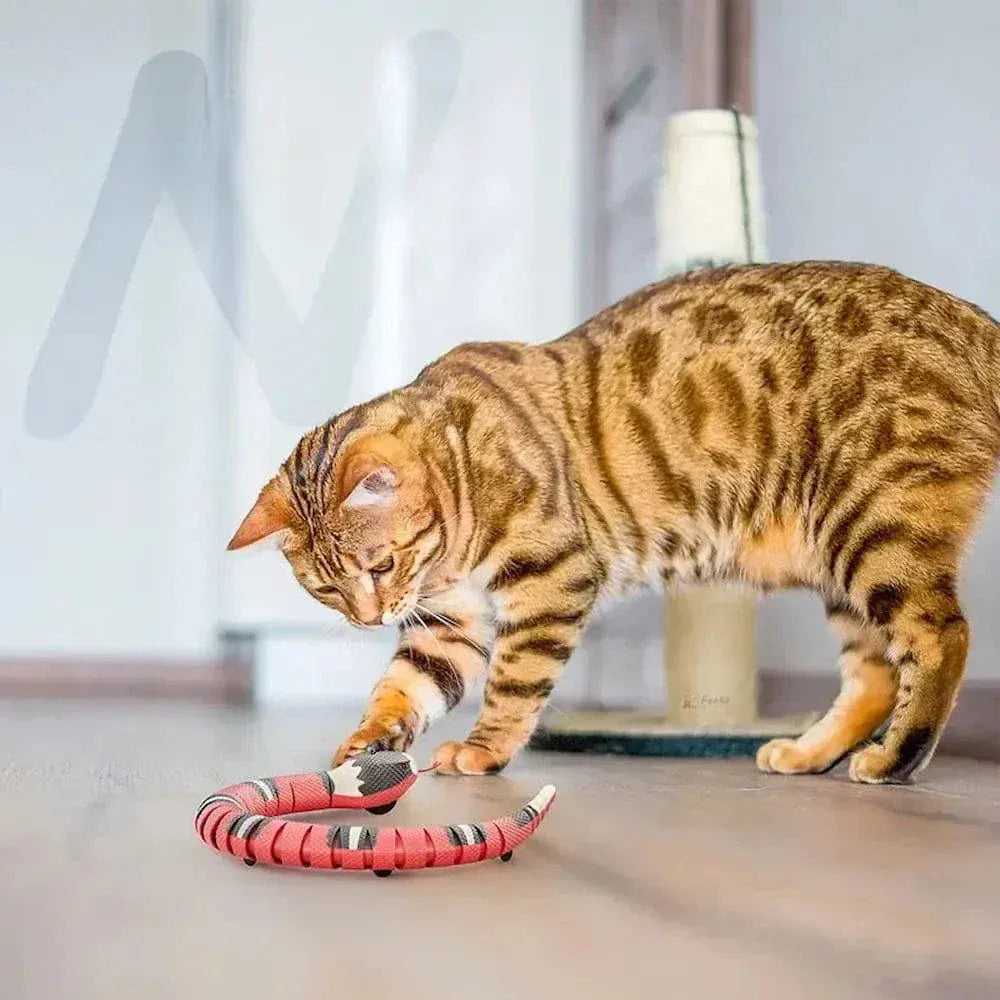 Cat snake toy