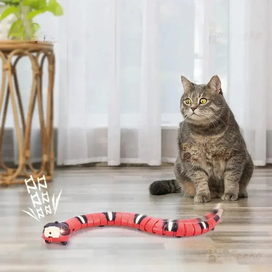 Cat snake toy