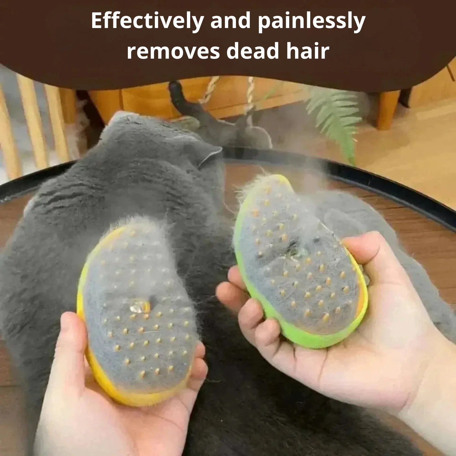 Cat steam brush