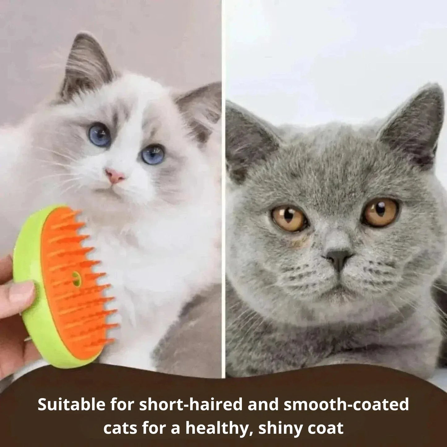 Cat steam brush