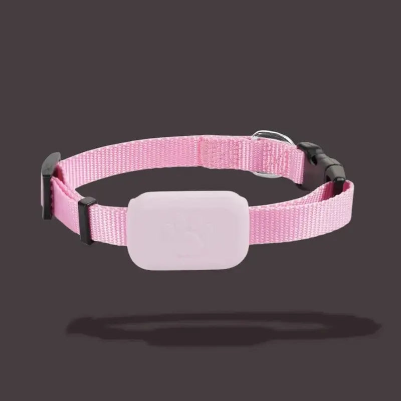 Cat Tracking Collar – Zero Escape