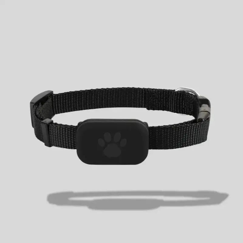 Cat Tracking Collar – Zero Escape