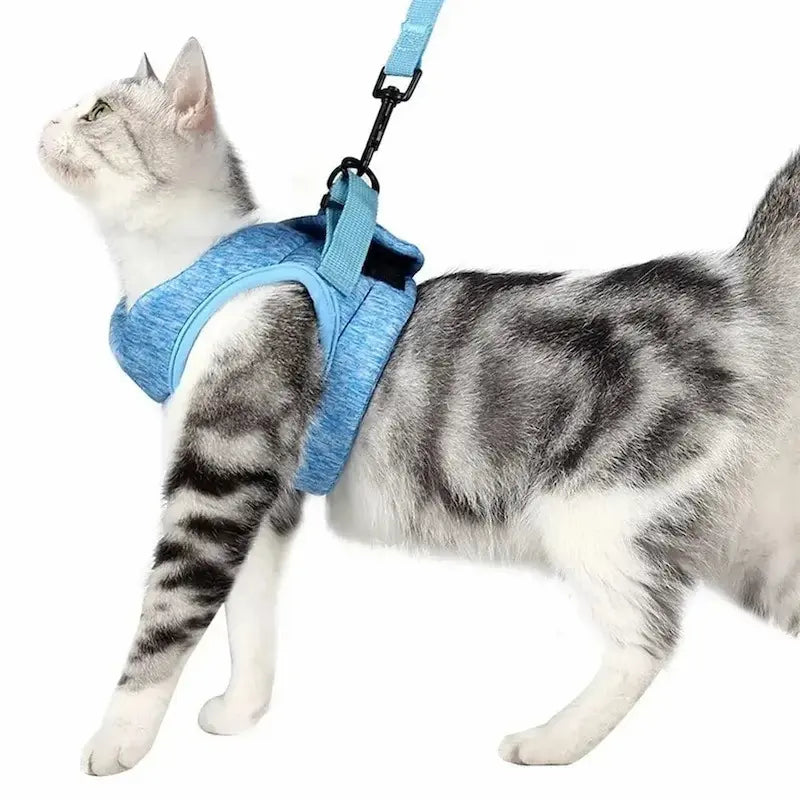 Cat traction harness