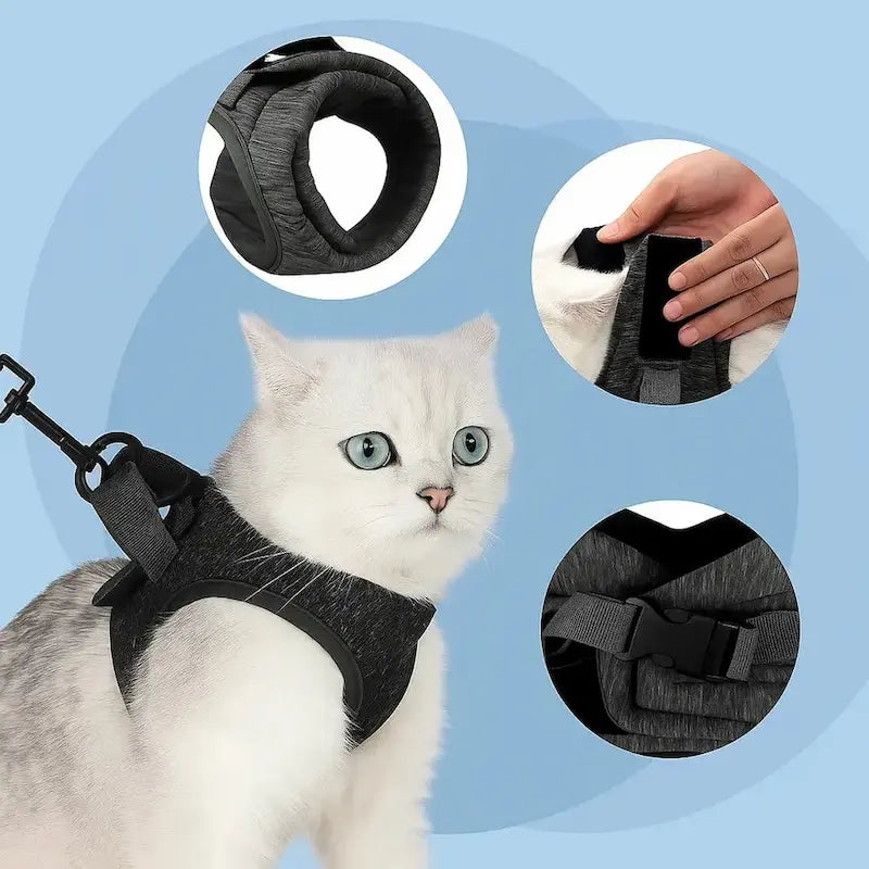 Cat traction harness
