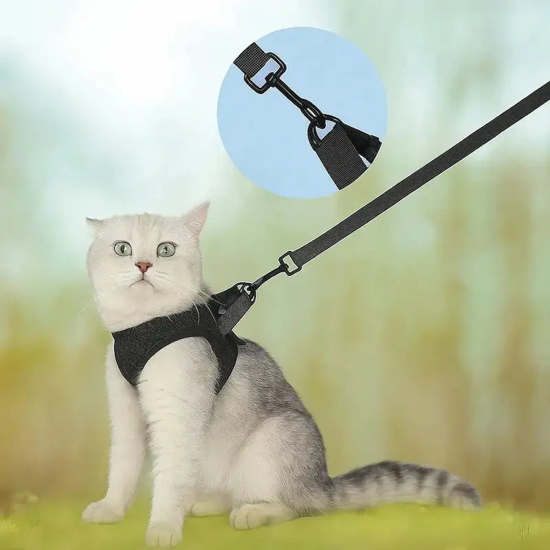 Cat traction harness