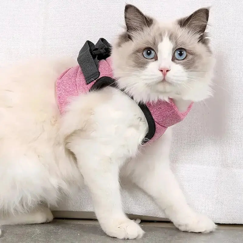 Cat traction harness