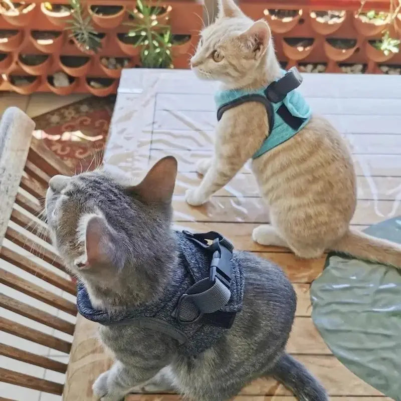Cat traction harness