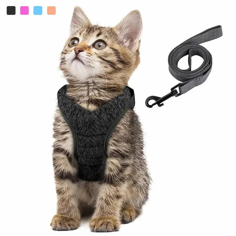 Cat traction harness