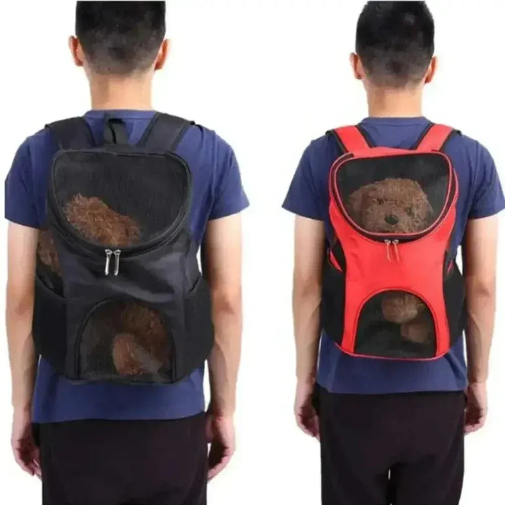 Cat Travel Backpack