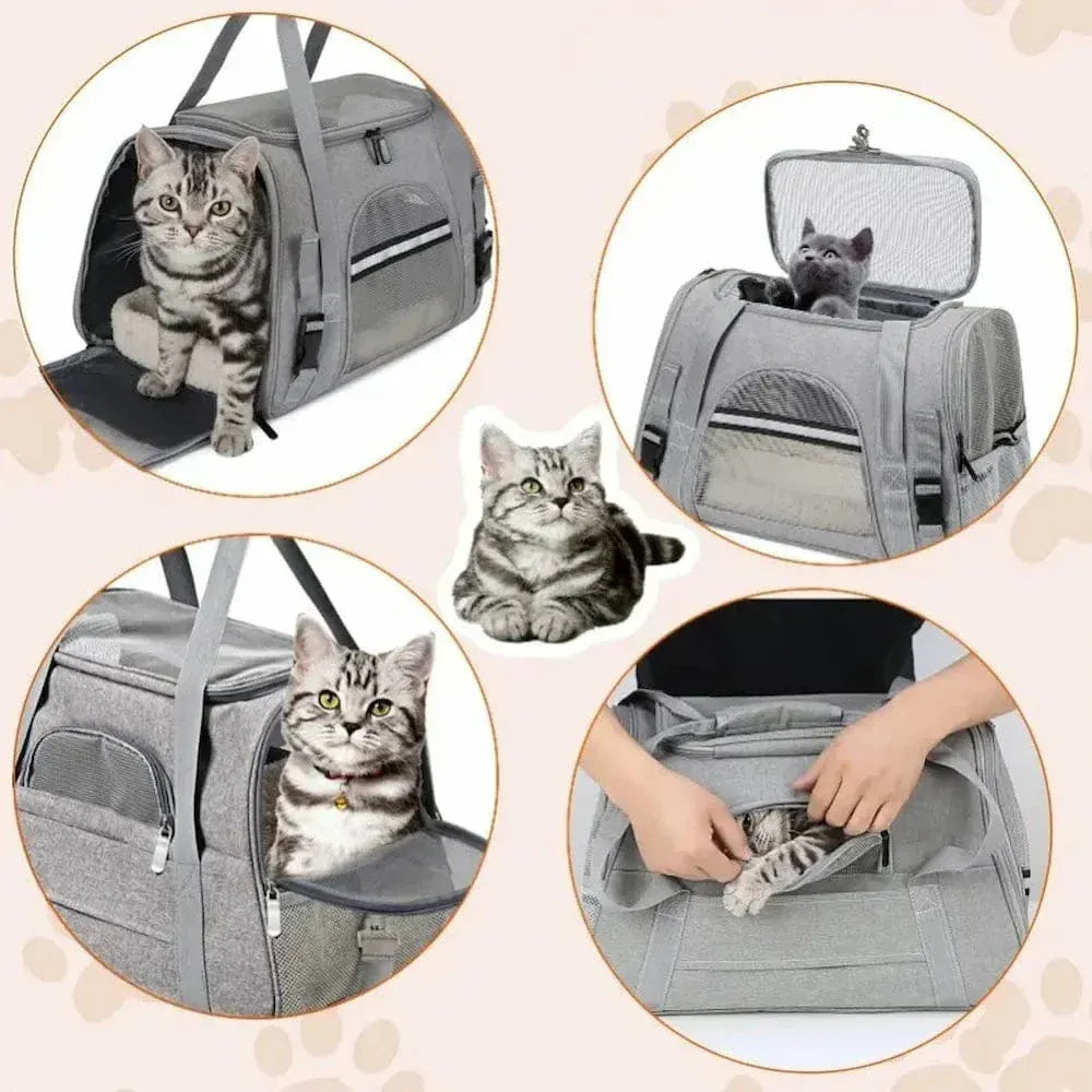 Cat Travel Bag