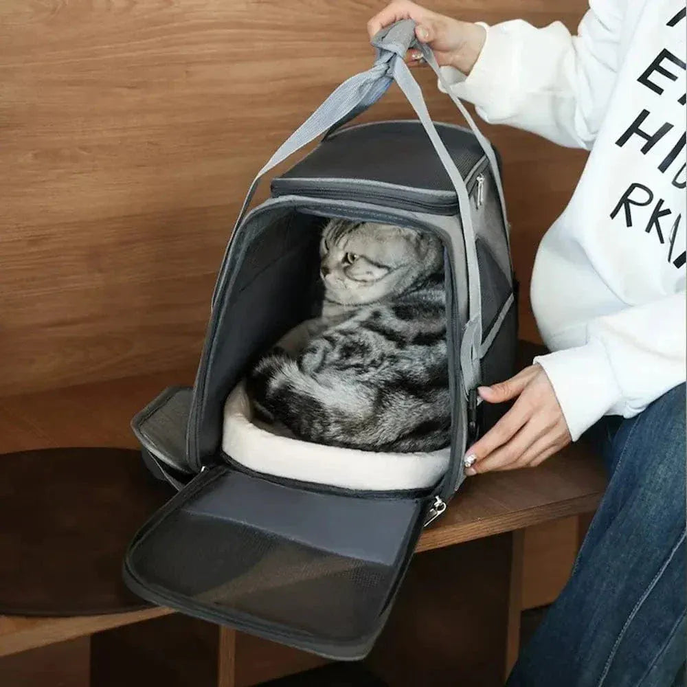 Cat Travel Bag