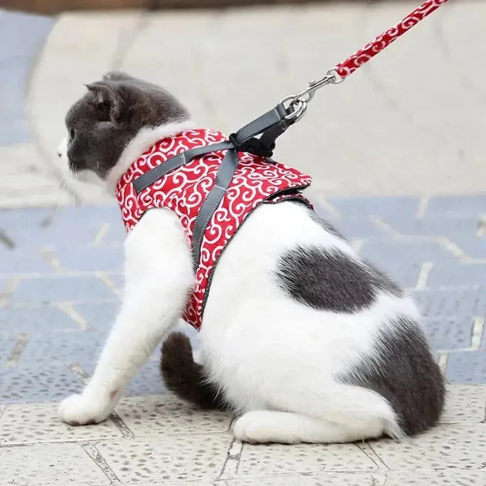 Cat vest harness