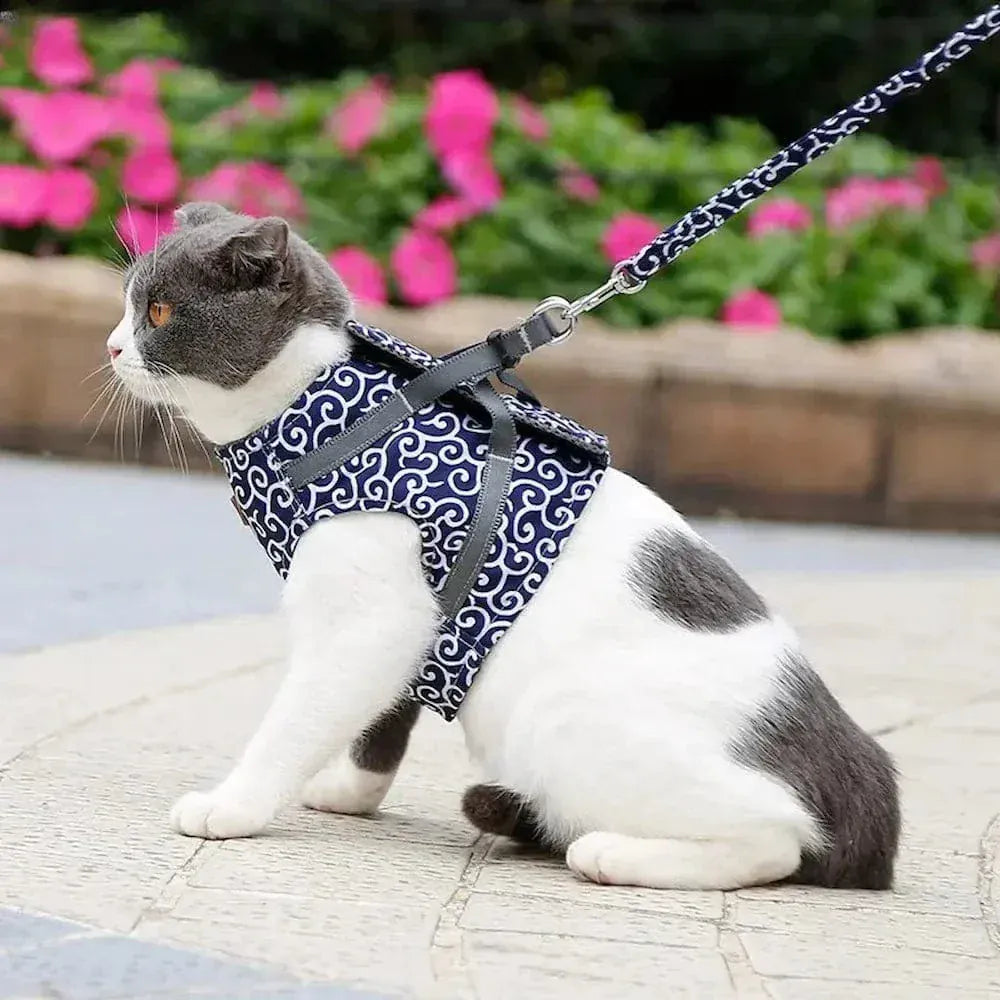 Cat vest harness