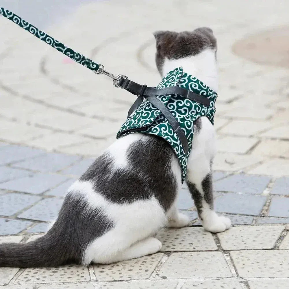 Cat vest harness