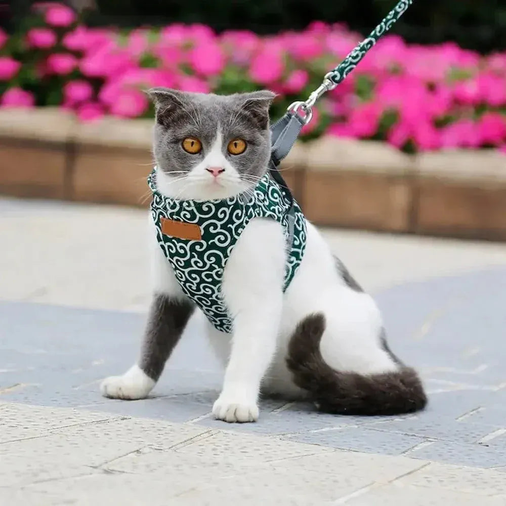 Cat vest harness