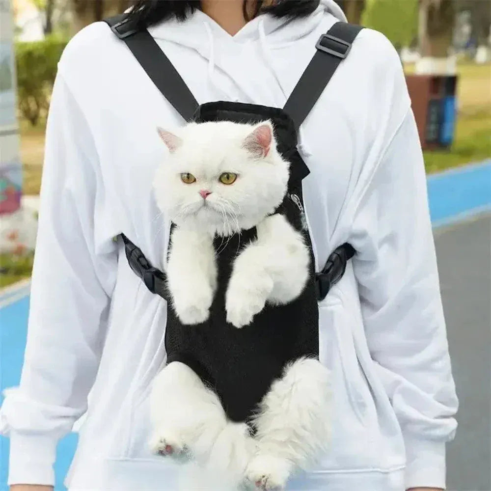 Cat Walking Backpack