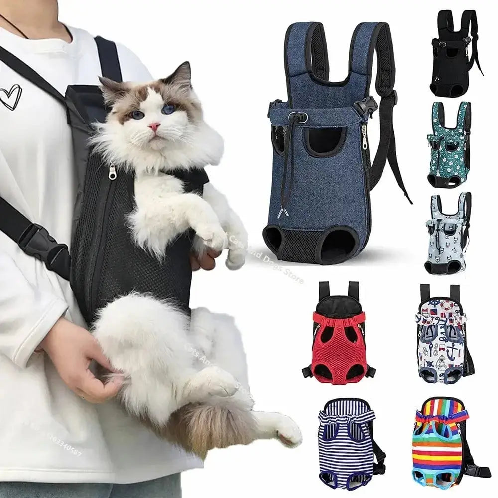 Cat Walking Backpack