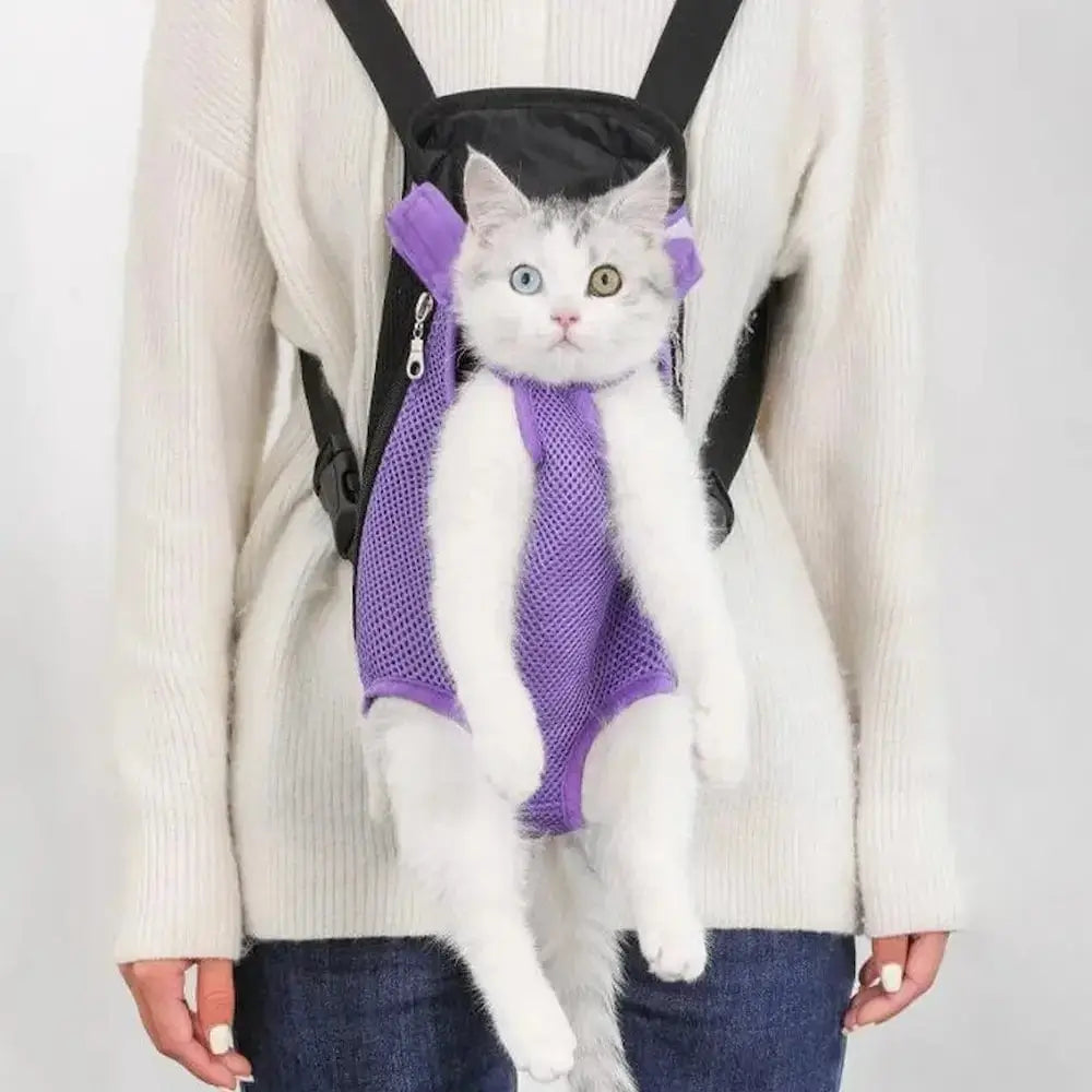 Cat Walking Backpack