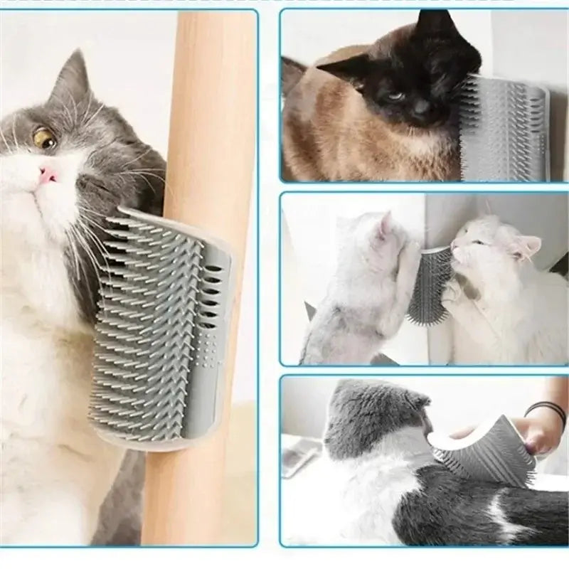 Cat wall brush