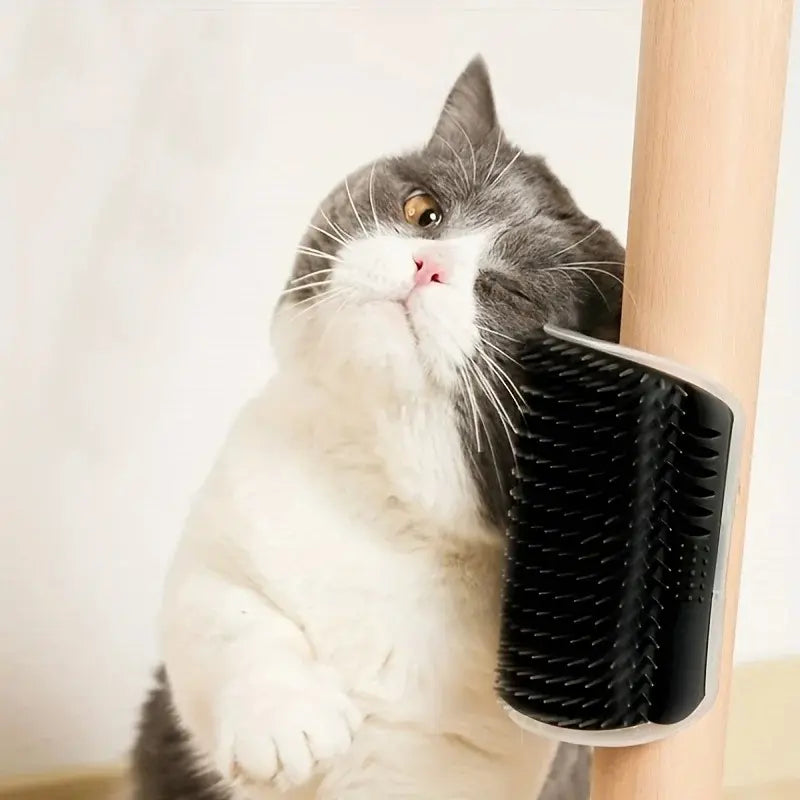 Cat wall brush