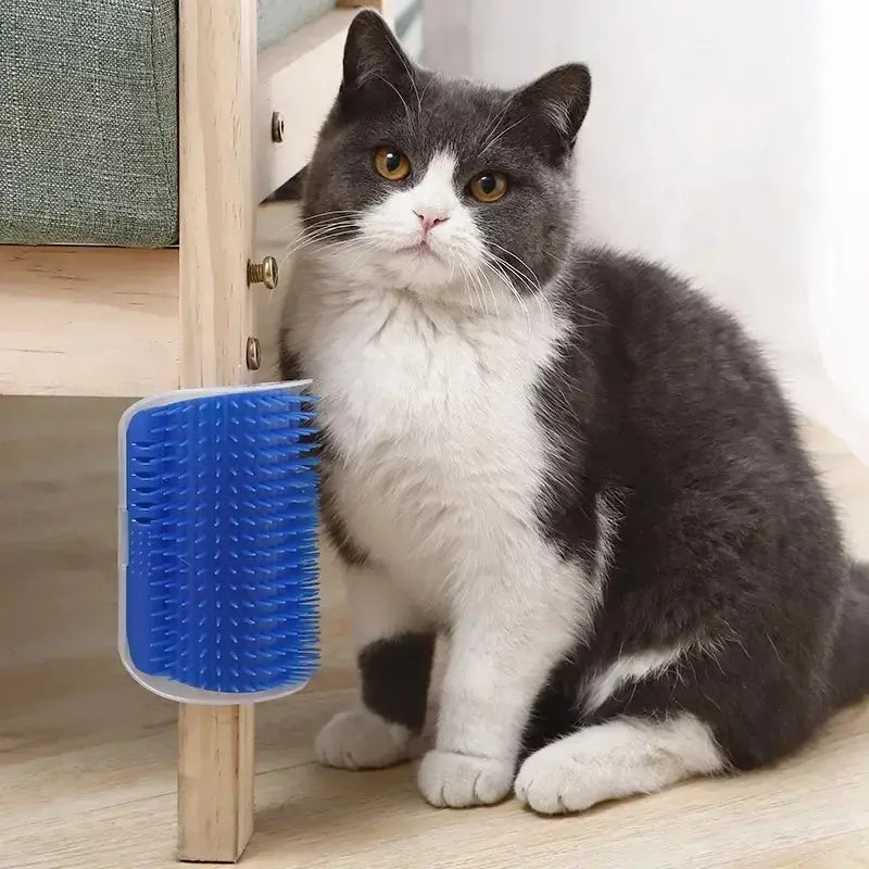 Cat wall brush