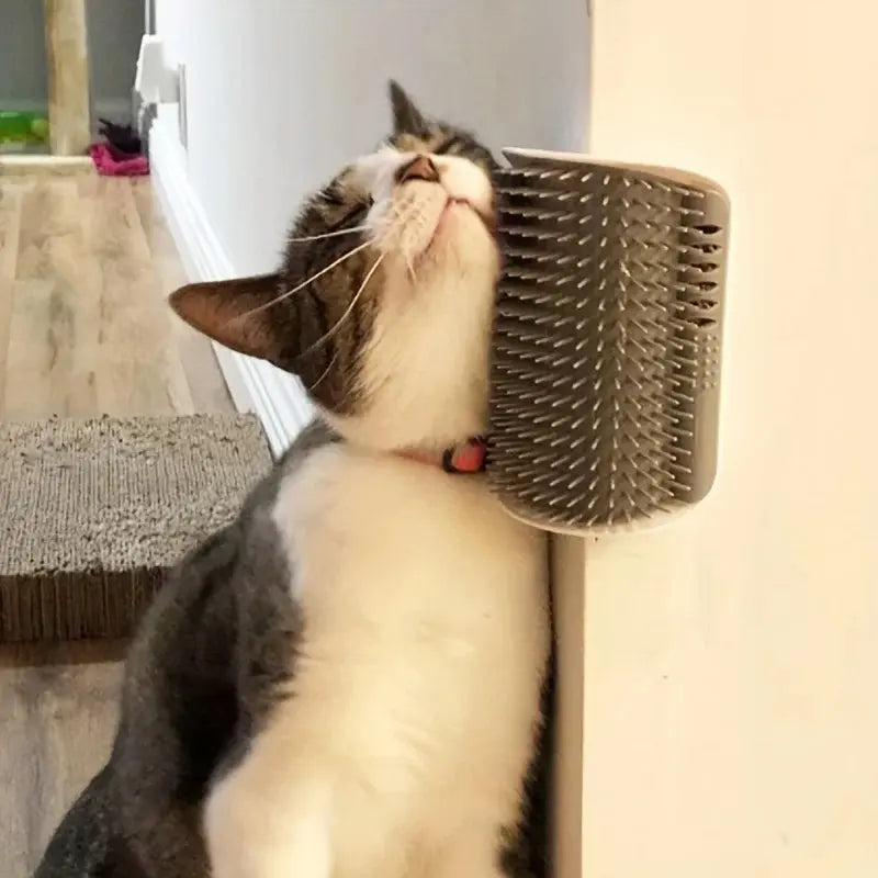 Cat wall brush
