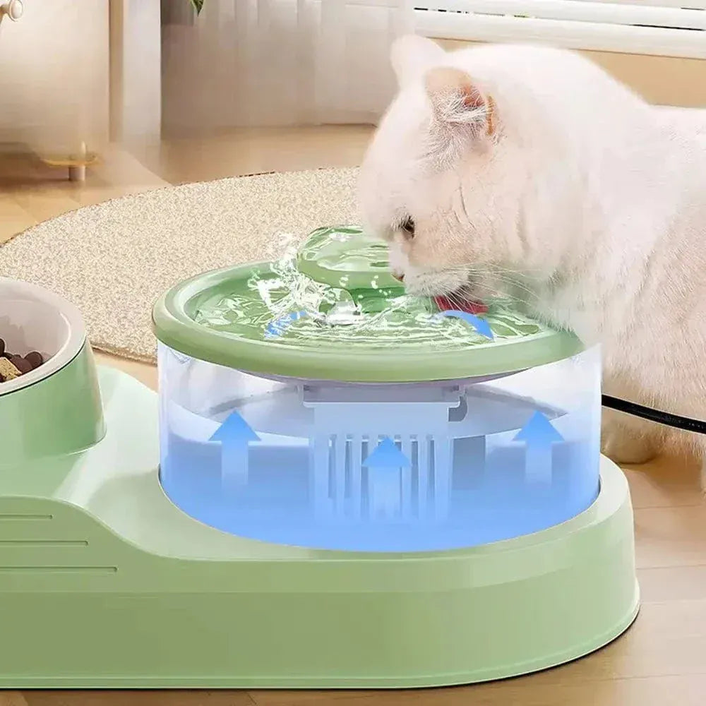 Cat water and food fountain