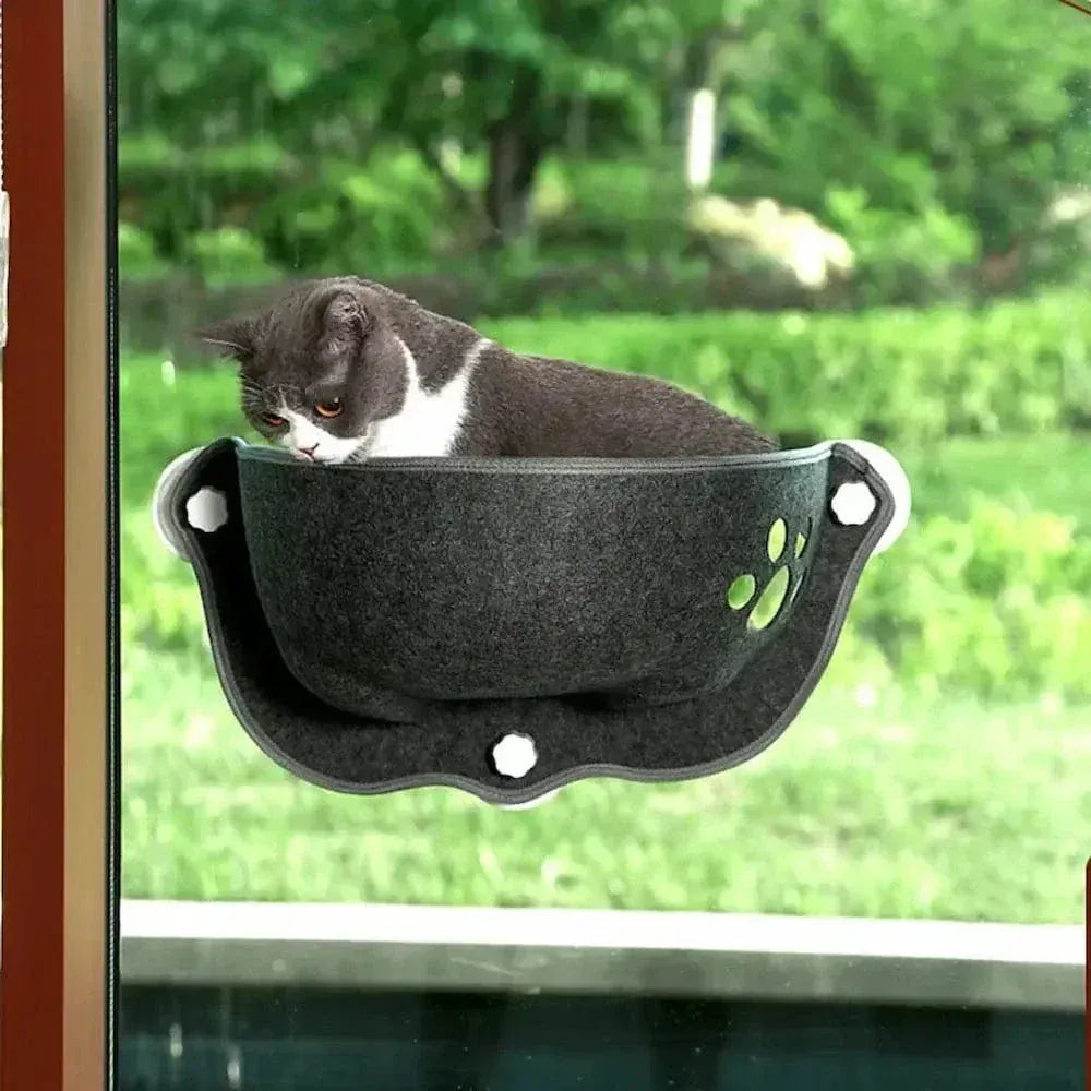 Cat window suction bed