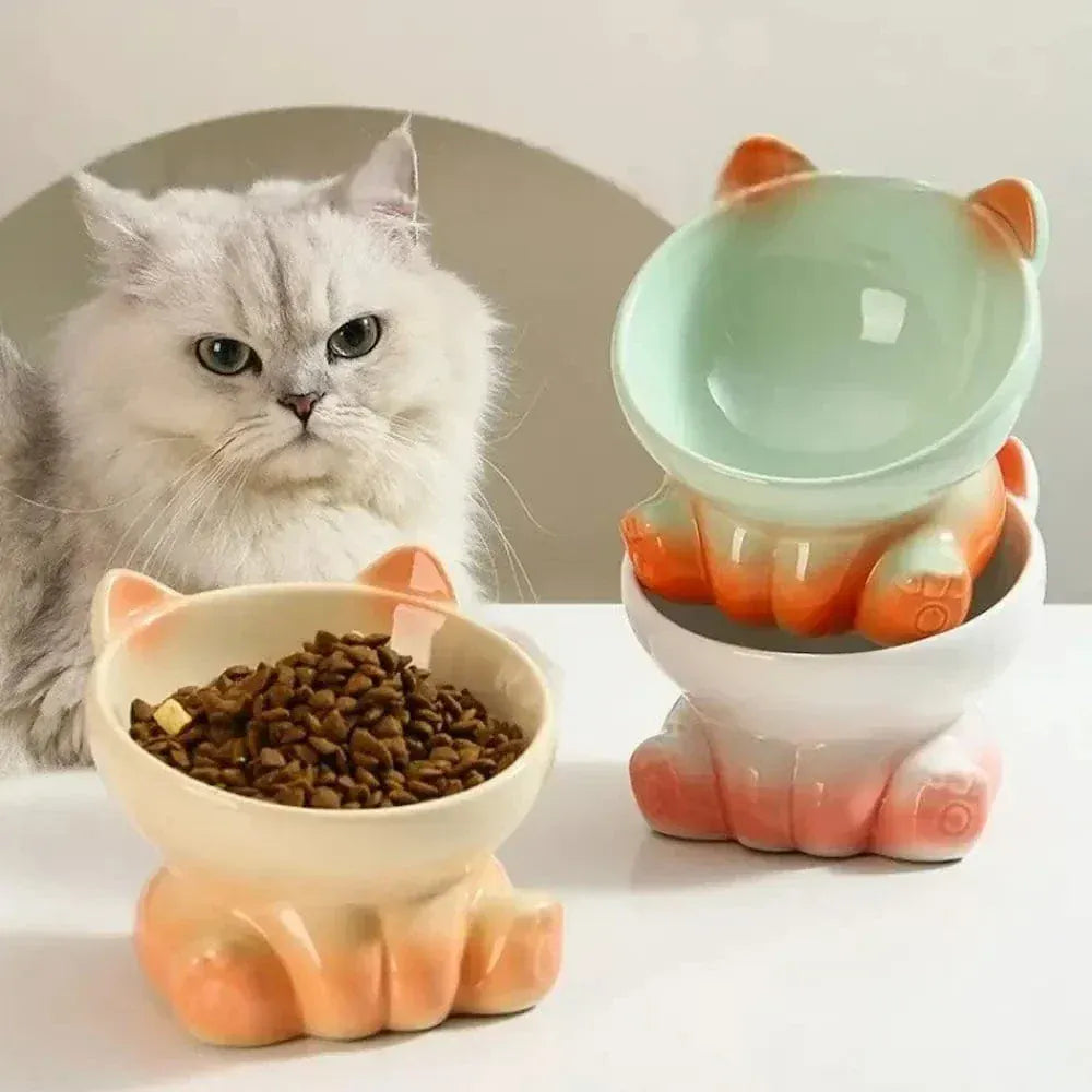 Ceramic cat bowl anti-vomiting