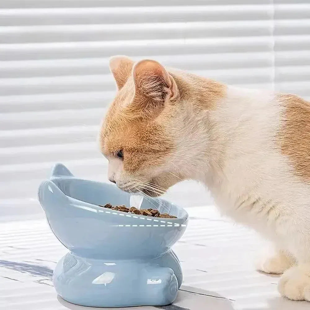 Ceramic cat bowl anti-vomiting