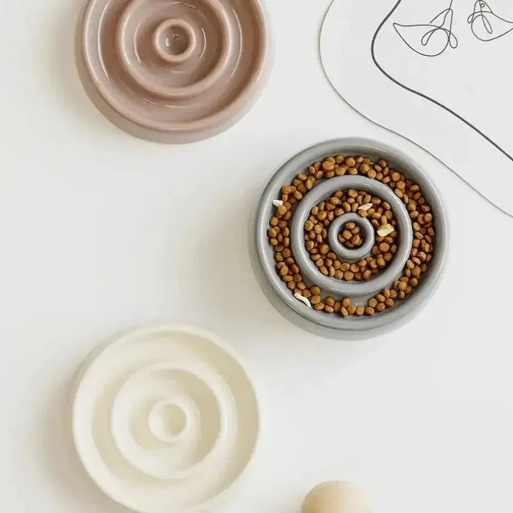 Ceramic slow feeder bowl for cats