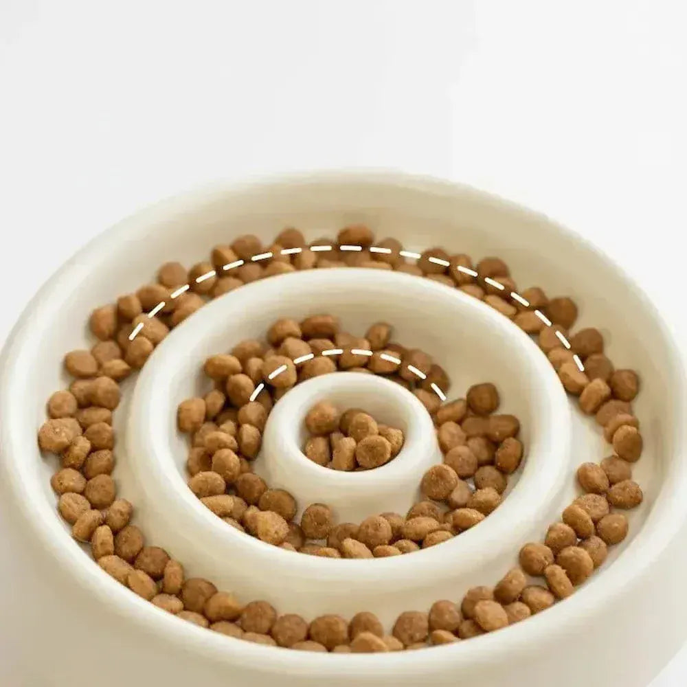 Ceramic slow feeder bowl for cats