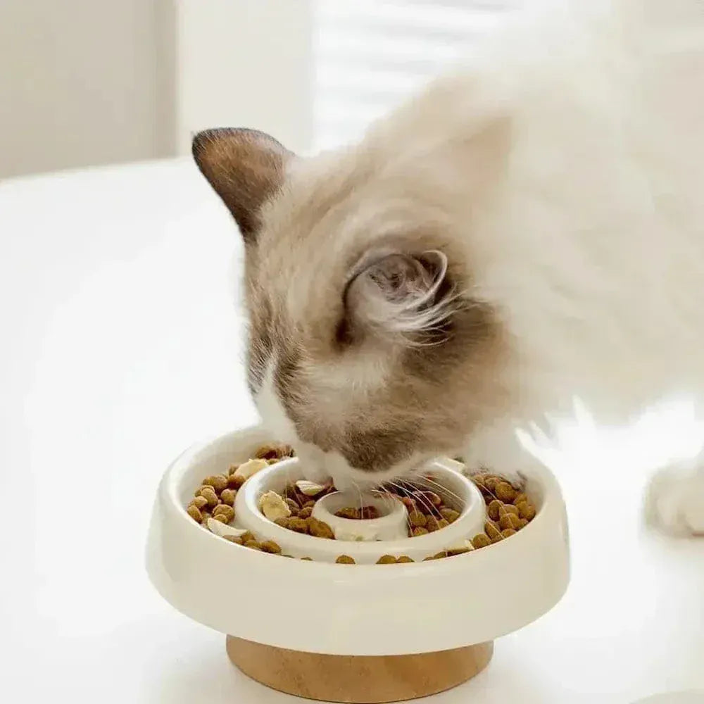Ceramic slow feeder bowl for cats