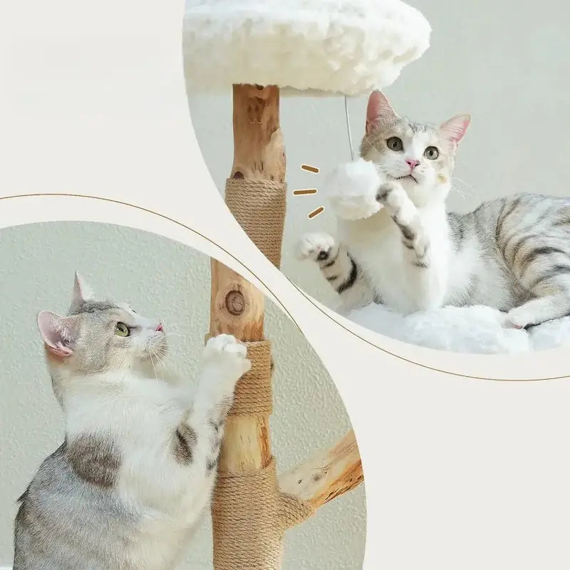 Cloud cat tree – comfort & elegant design