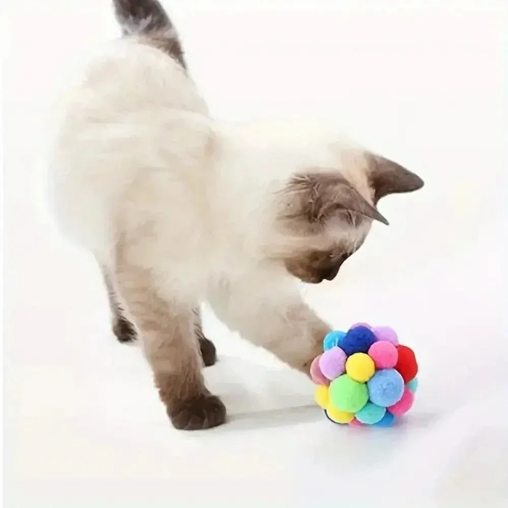 Colorful cat ball