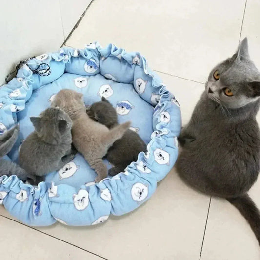 Cozy Cat Cushion – Cocoon of Comfort