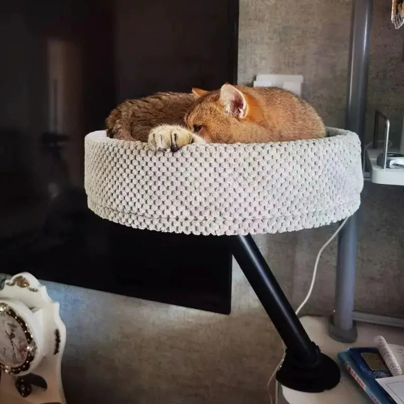 Desk cat bed