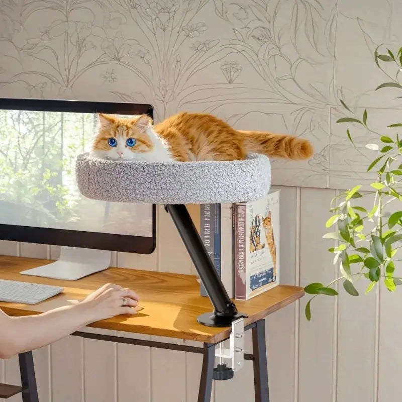 Desk cat bed