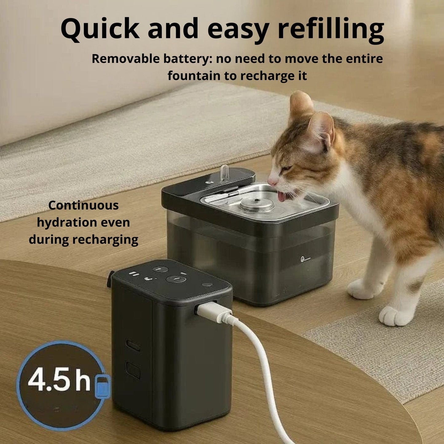 DownyPaws cat water fountain
