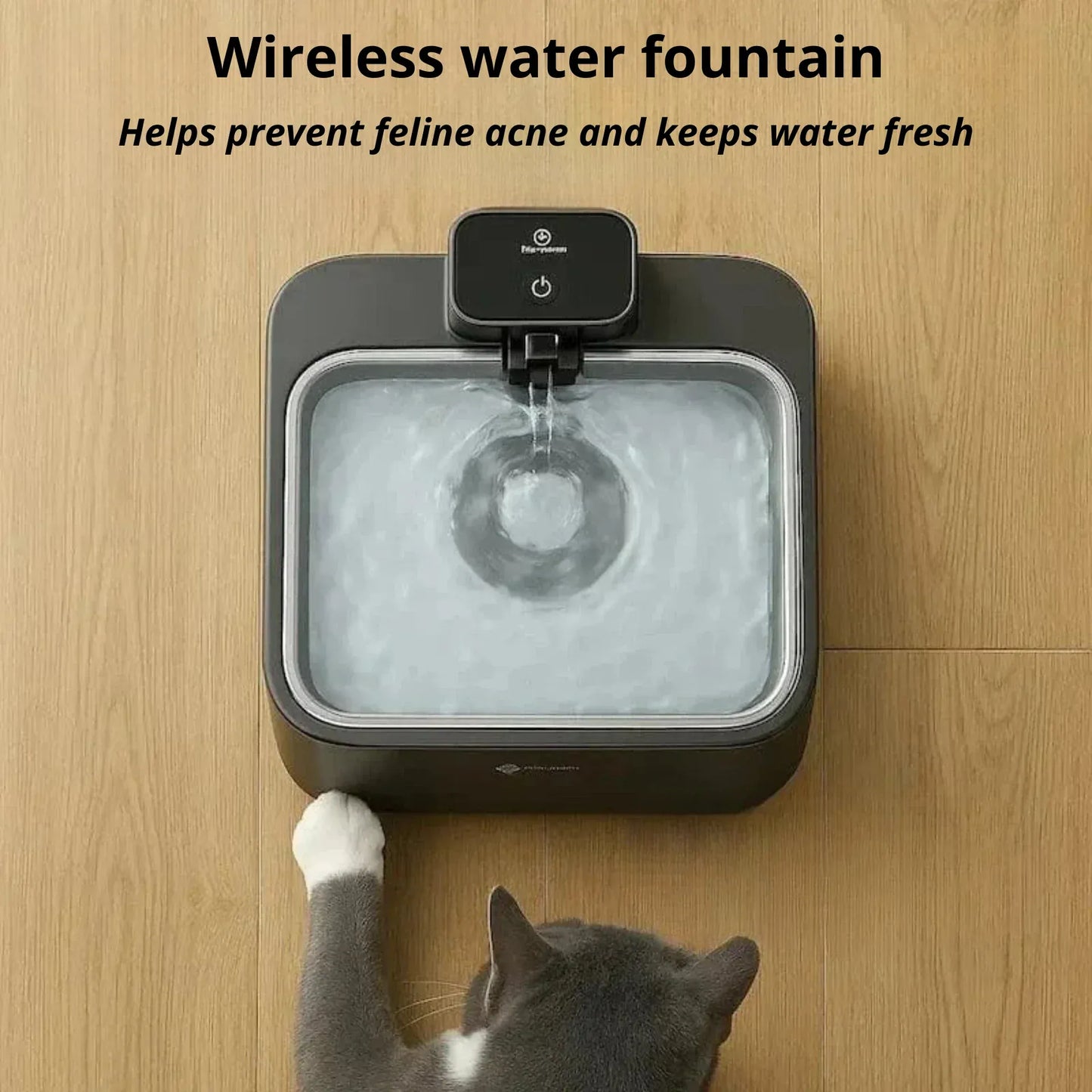 DownyPaws cat water fountain