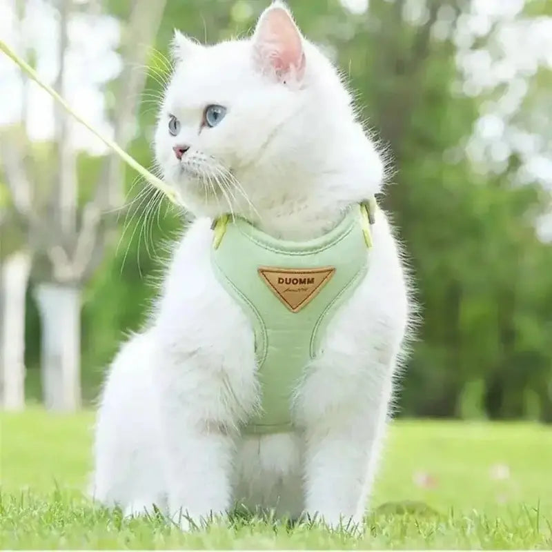 Duomm cat harness
