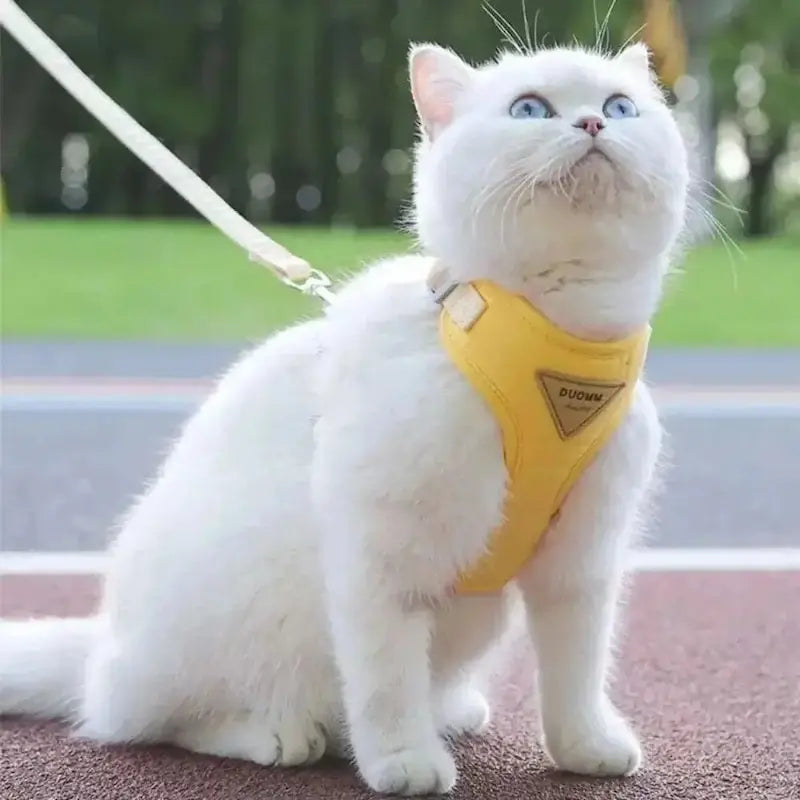 Duomm cat harness
