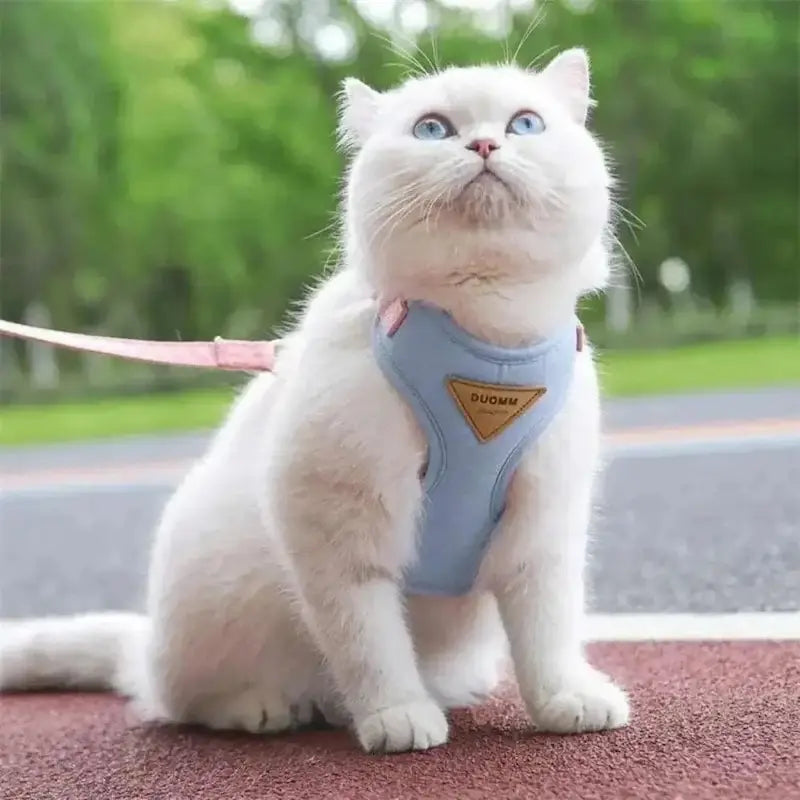 Duomm cat harness