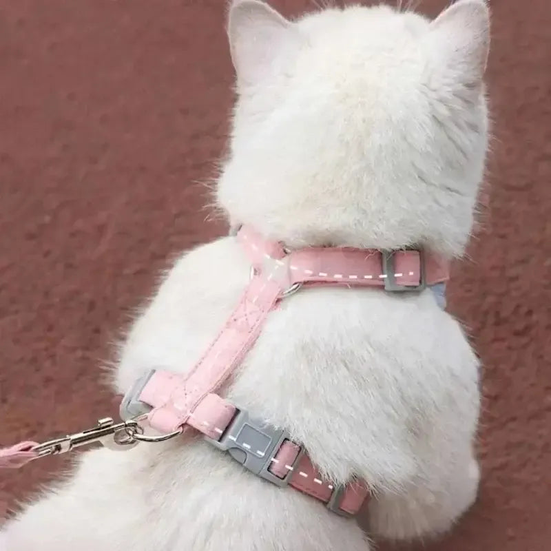 Duomm cat harness