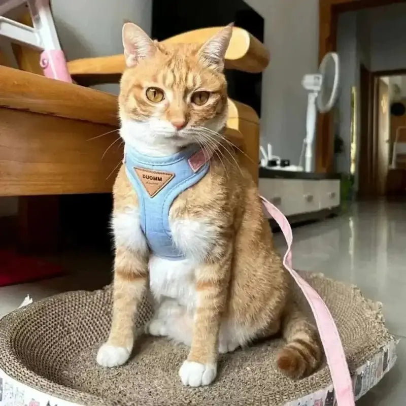 Duomm cat harness