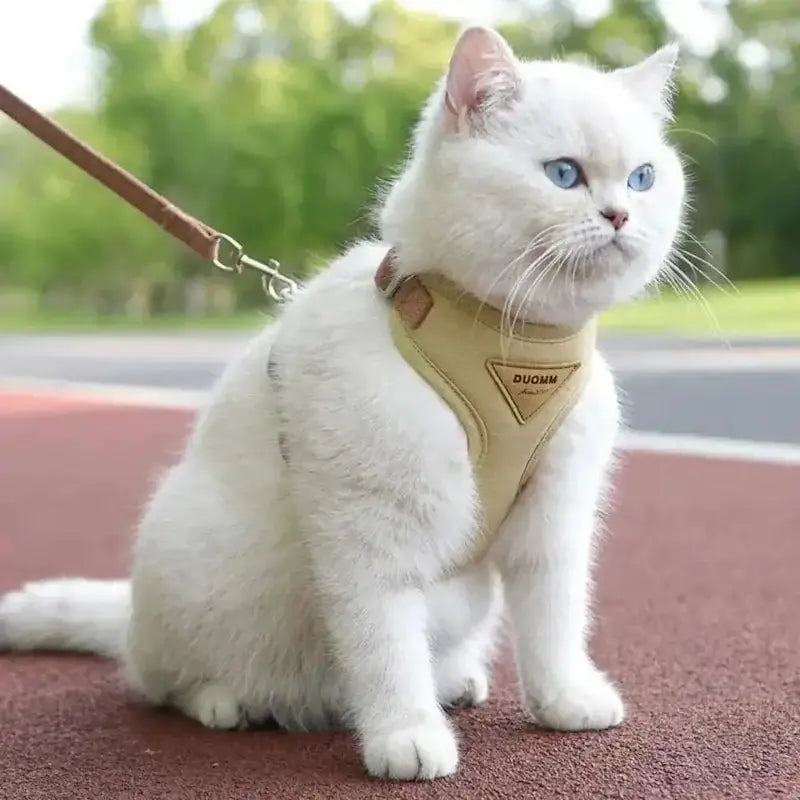 Duomm cat harness