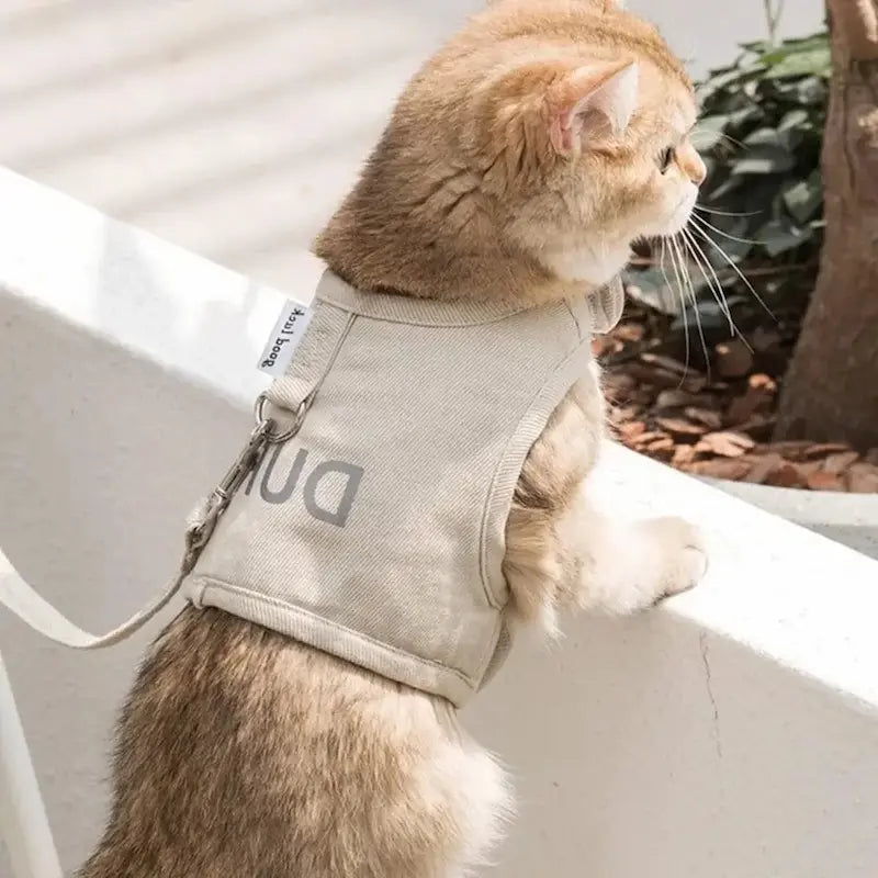 Duri cat harness