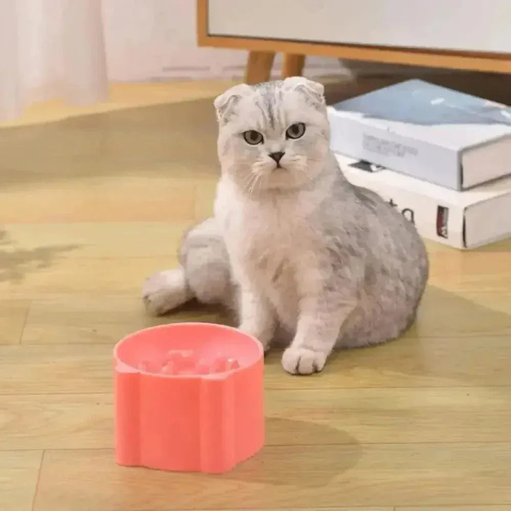 Elevated anti-gulping cat bowl