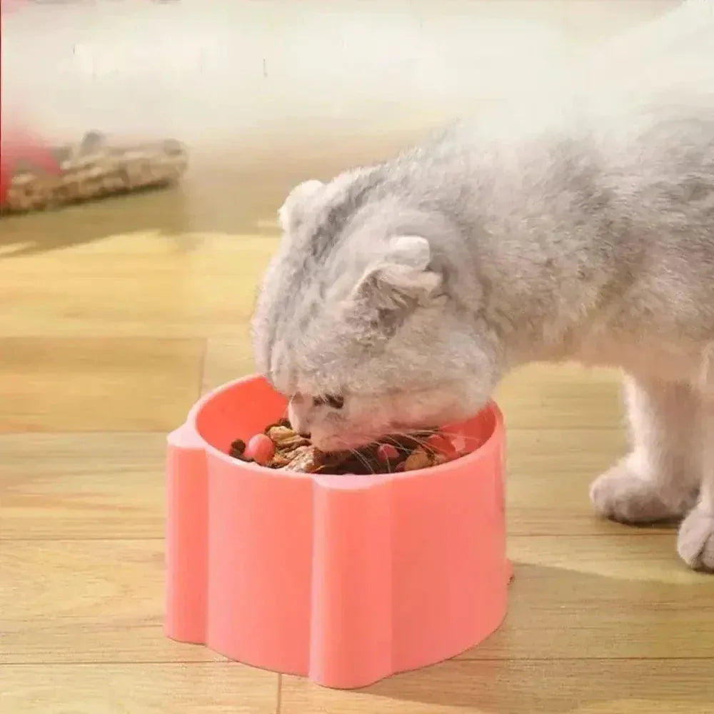 Elevated anti-gulping cat bowl